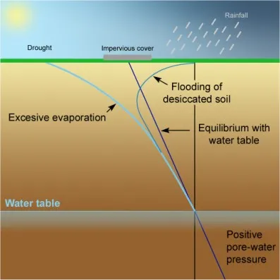 Pore Water Pressure of Soils Image